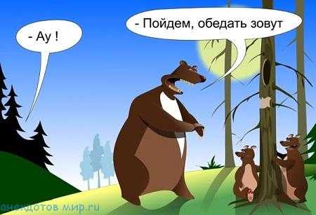 Анекдоты про медведя